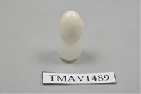 藏品(鷦鷯卵)的圖片